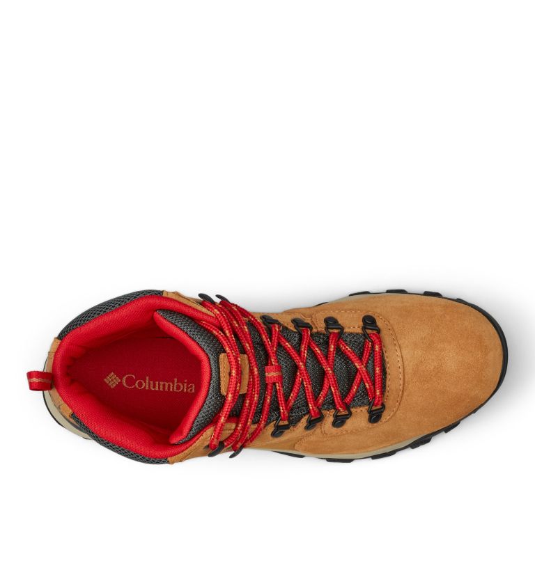 Blue/Red Columbia Newton Ridge™ Plus II Suede Waterproof Men's Hiking Boots | RSB8399NF